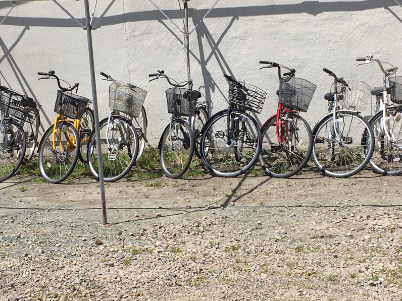 貸自転車　お好きな自転車をお選び下さい。