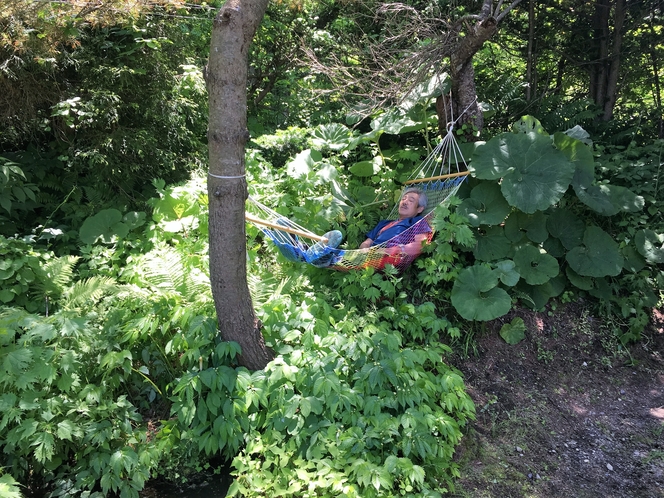 庭園の池の傍の木陰でのんびりとハンモックで昼寝