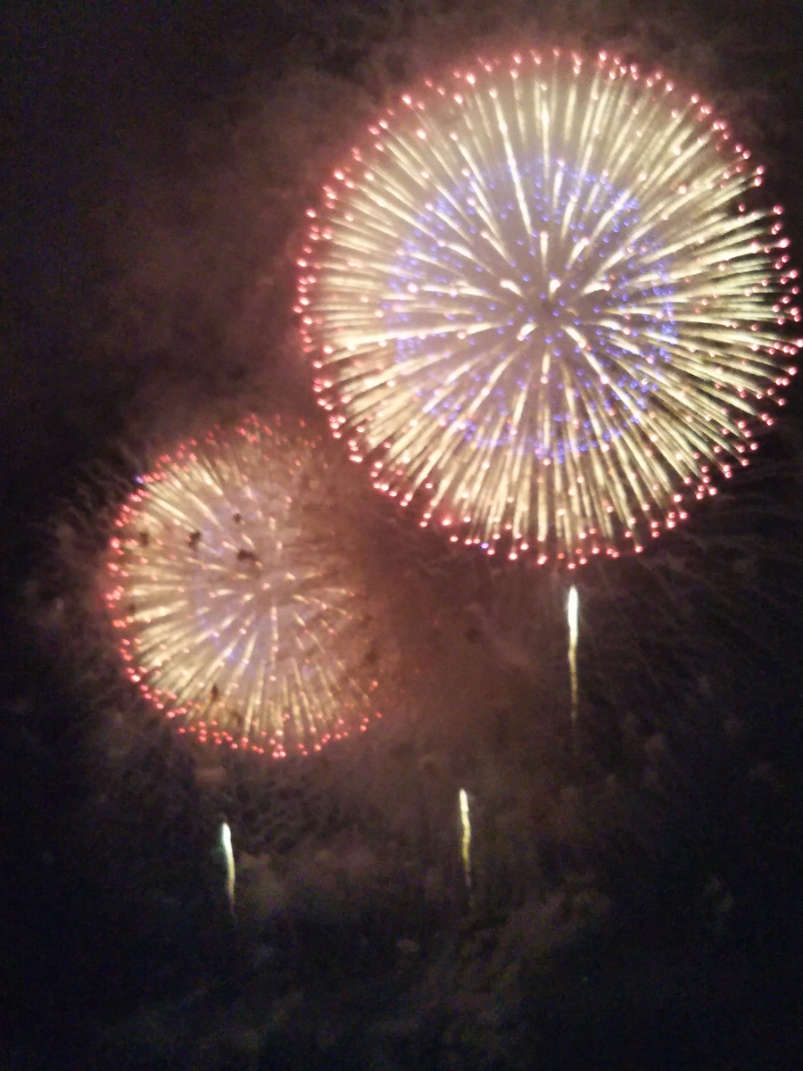 三崎公園から見た花火大会