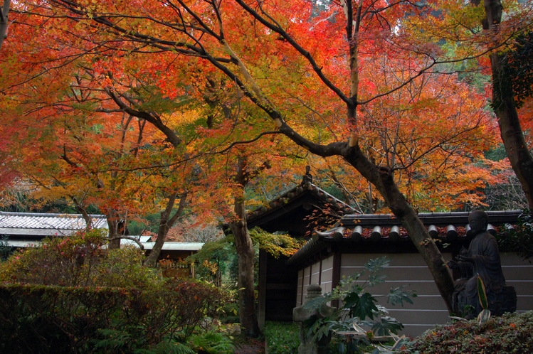 瑞泉寺　紅葉