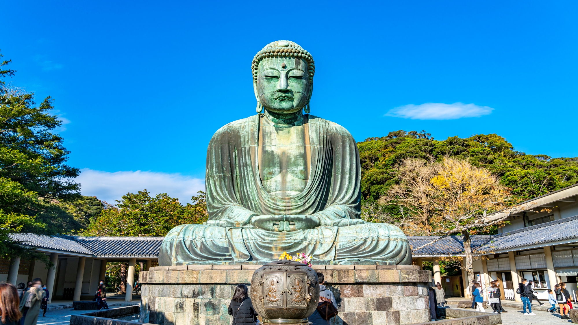 【当館から車で40分】日本を代表する仏像の一つ、迫力ある大仏に会える「鎌倉大仏（高徳院）」
