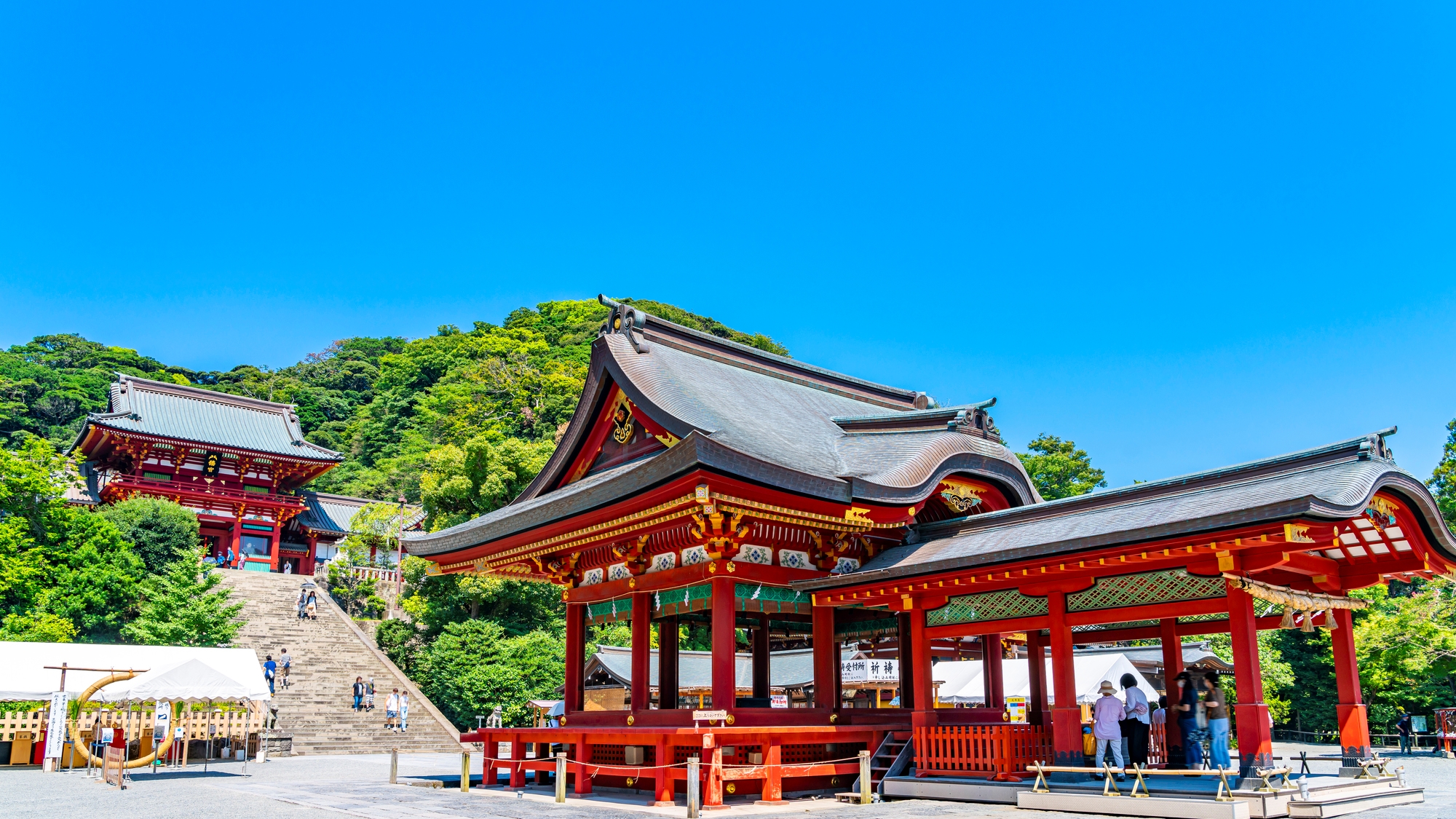 【当館から車で35分】鎌倉の中心に位置する、源氏ゆかりの歴史ある神社「鶴岡八幡宮」
