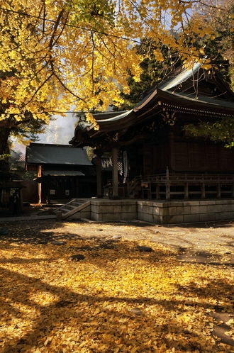 御霊神社　紅葉