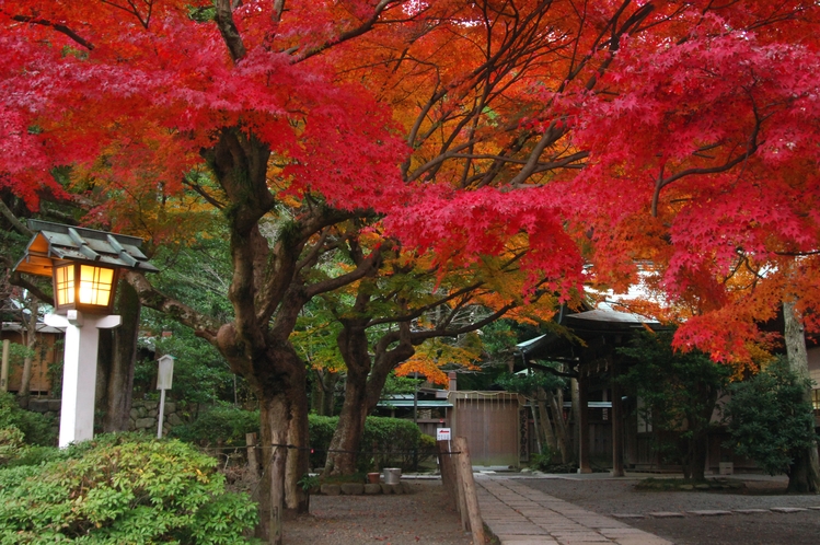 鎌倉宮　紅葉