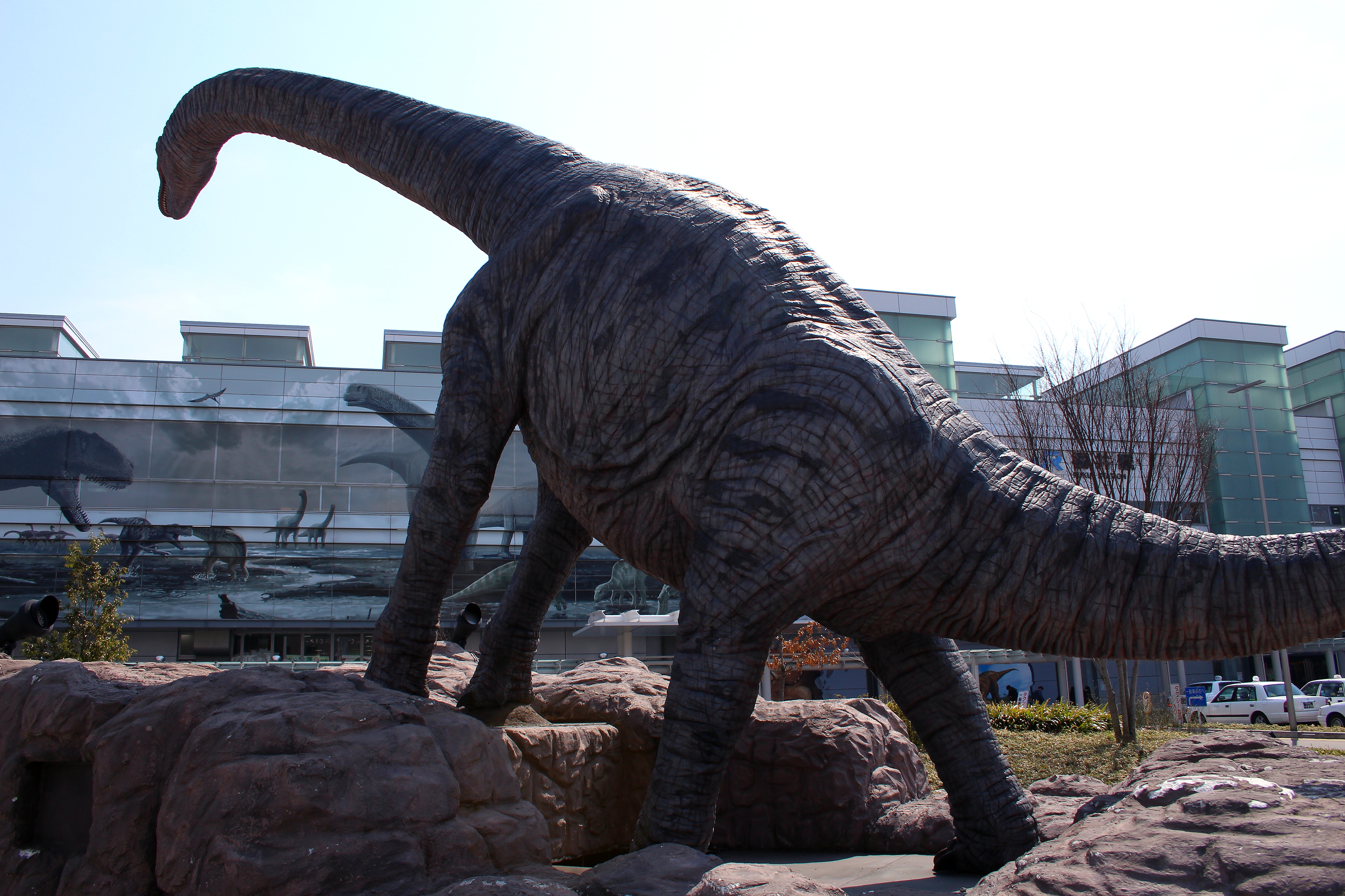 恐竜の化石が数多く発見されている福井県の中心地福井駅でも恐竜に会えます！