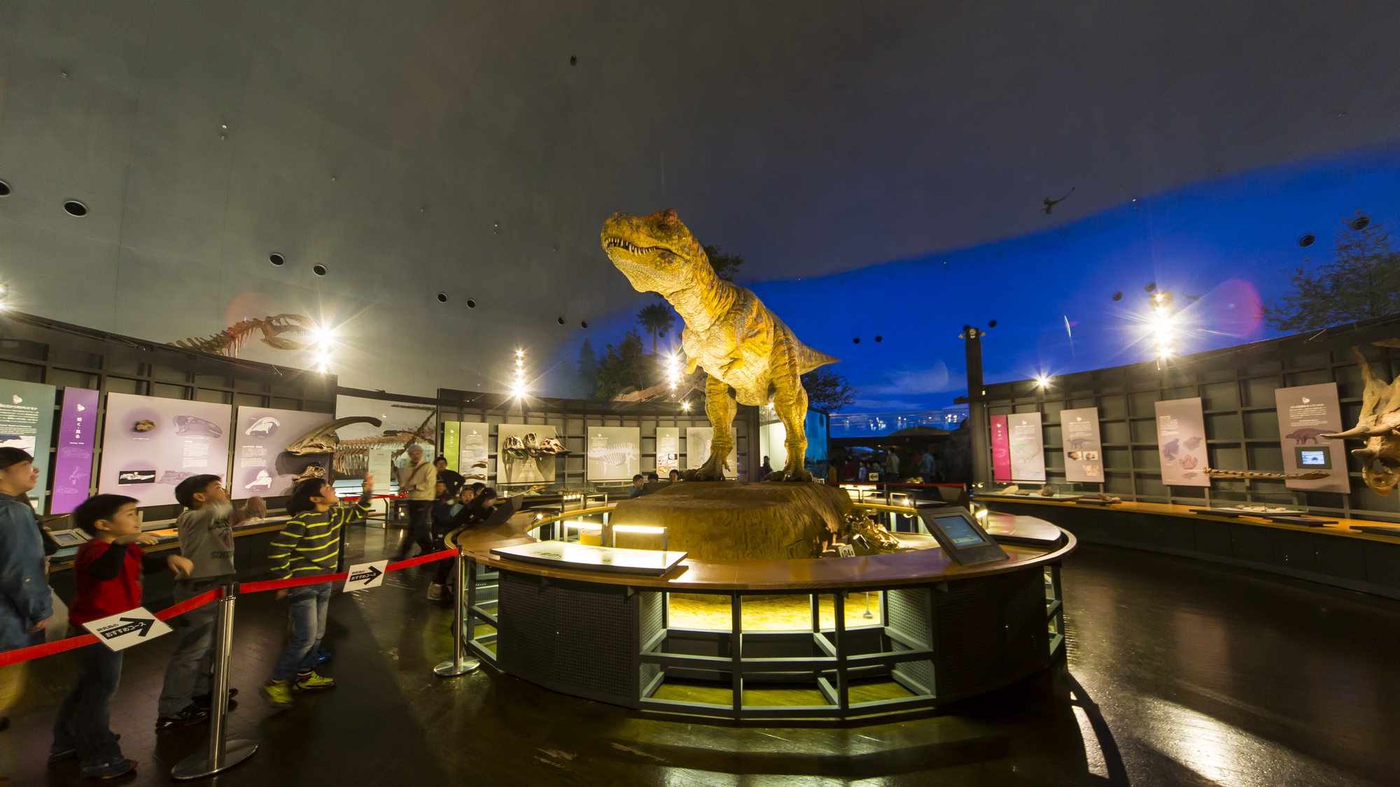 動く恐竜模型や貴重な化石が展示されている福井県恐竜博物館