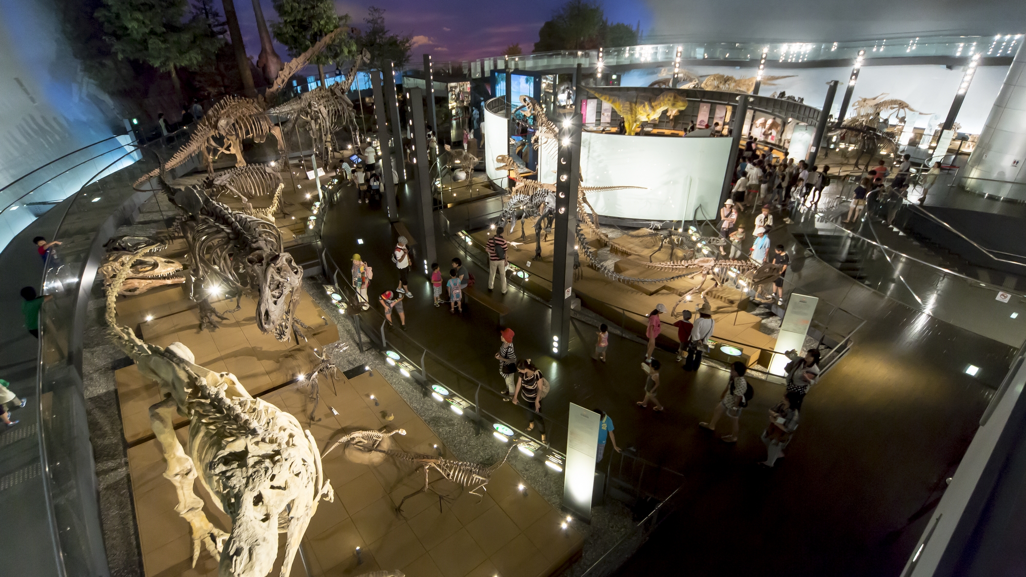 恐竜博物館は、恐竜好きさんはもちろん、どなたでもきっと夢中になってしまいます。
