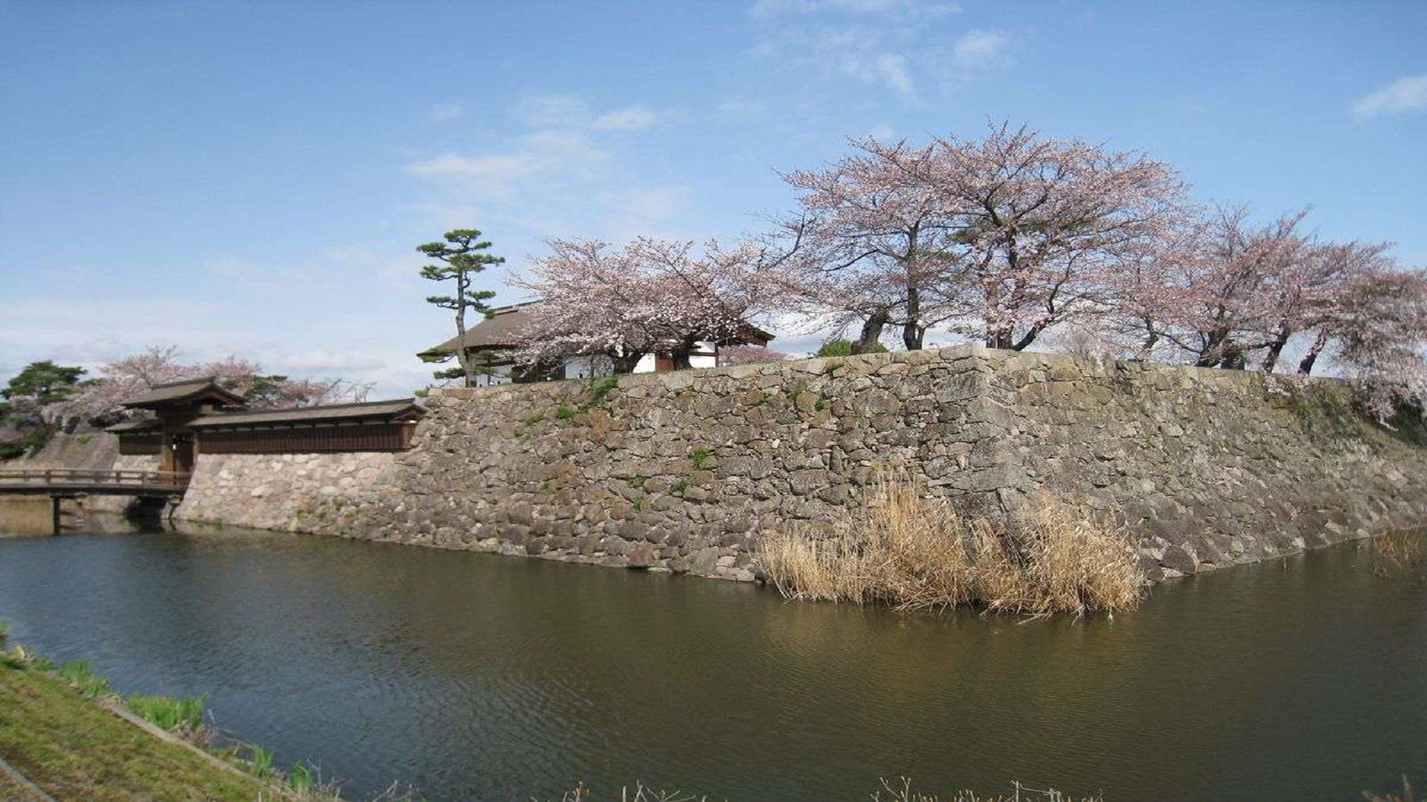 ■松代城址（桜）<写真提供：長野県観光機構>