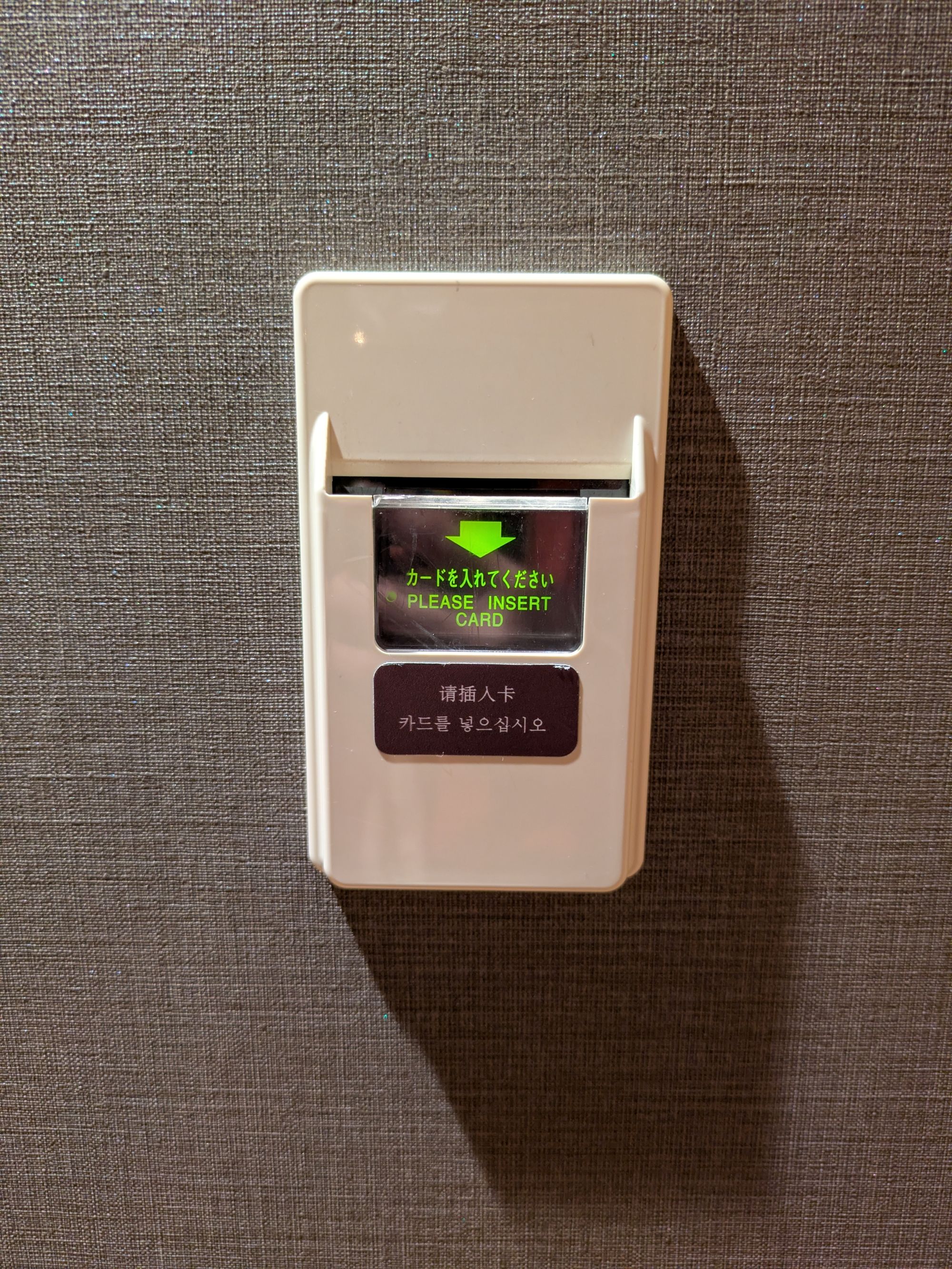 ◇客室照明　カードソケット