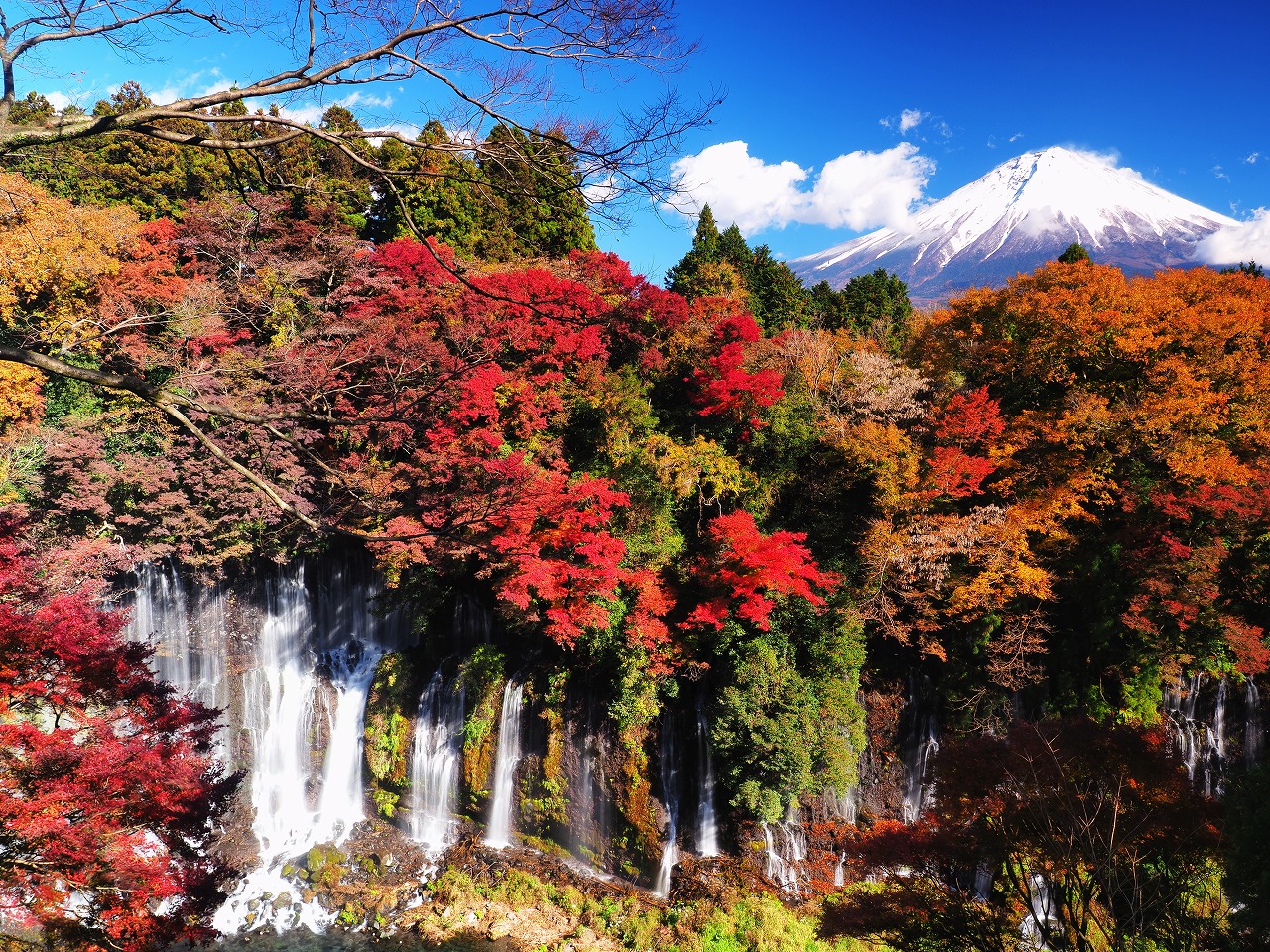 箱根の紅葉