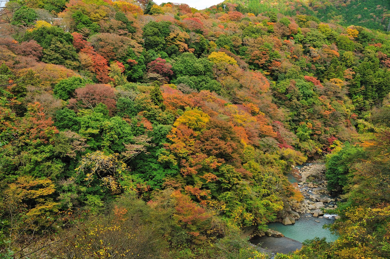 箱根　宮ノ下の紅葉