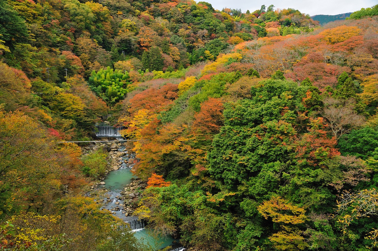 箱根　宮ノ下の紅葉