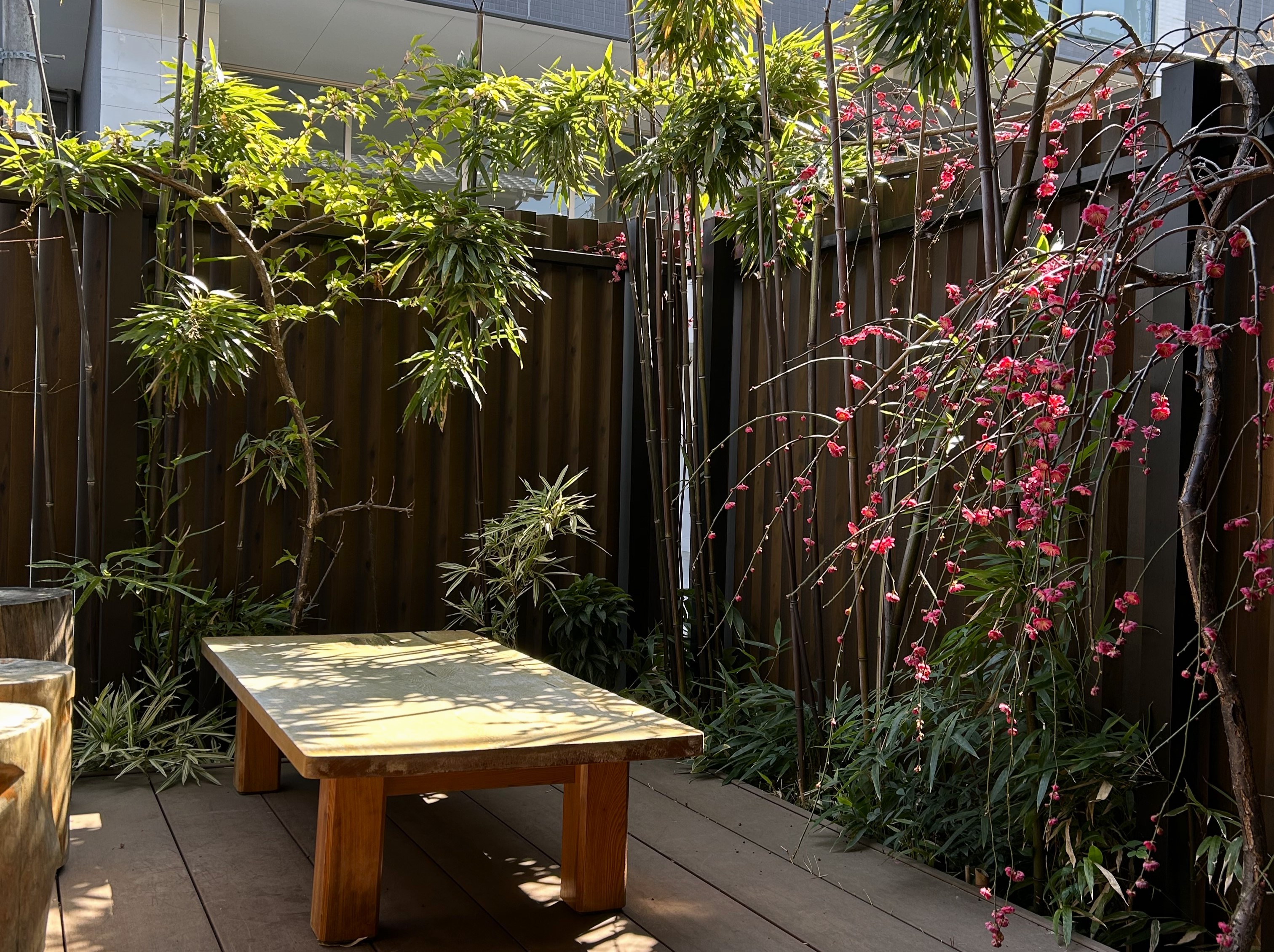 【テラス風景】冬