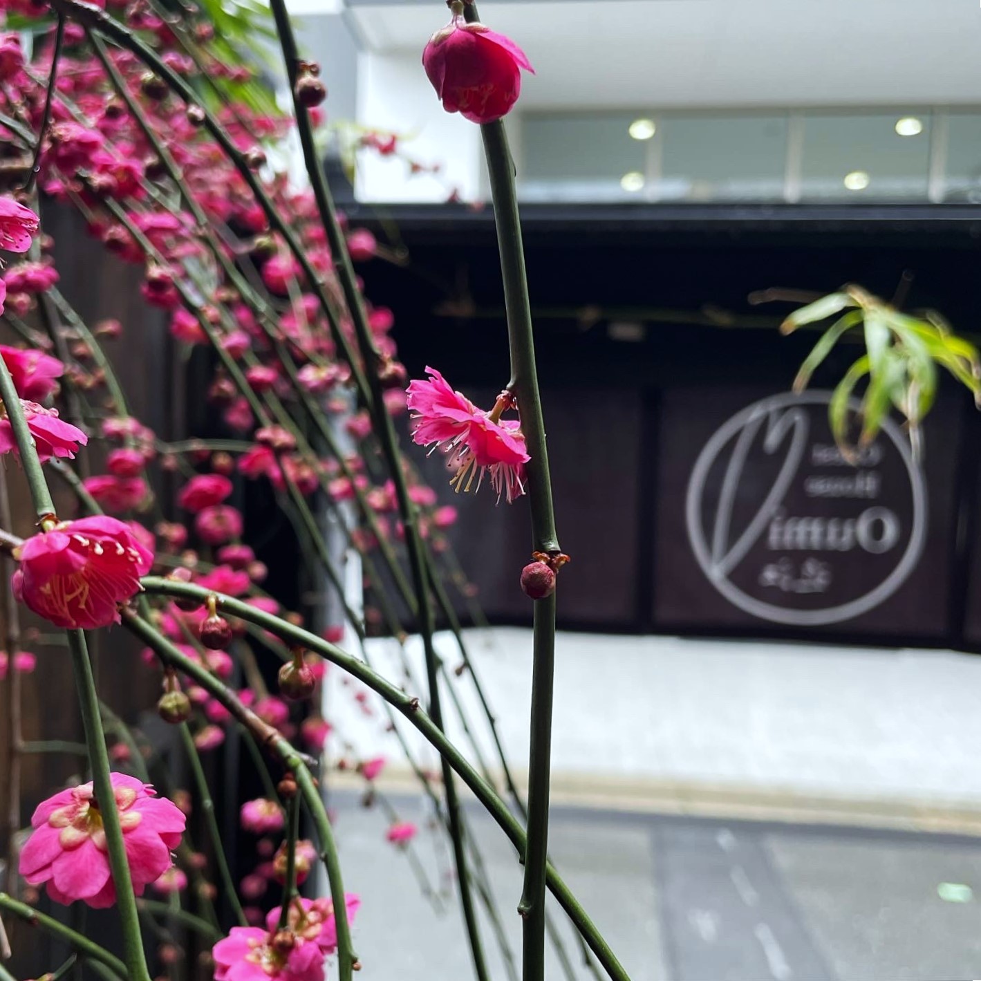 【入り口の暖簾】