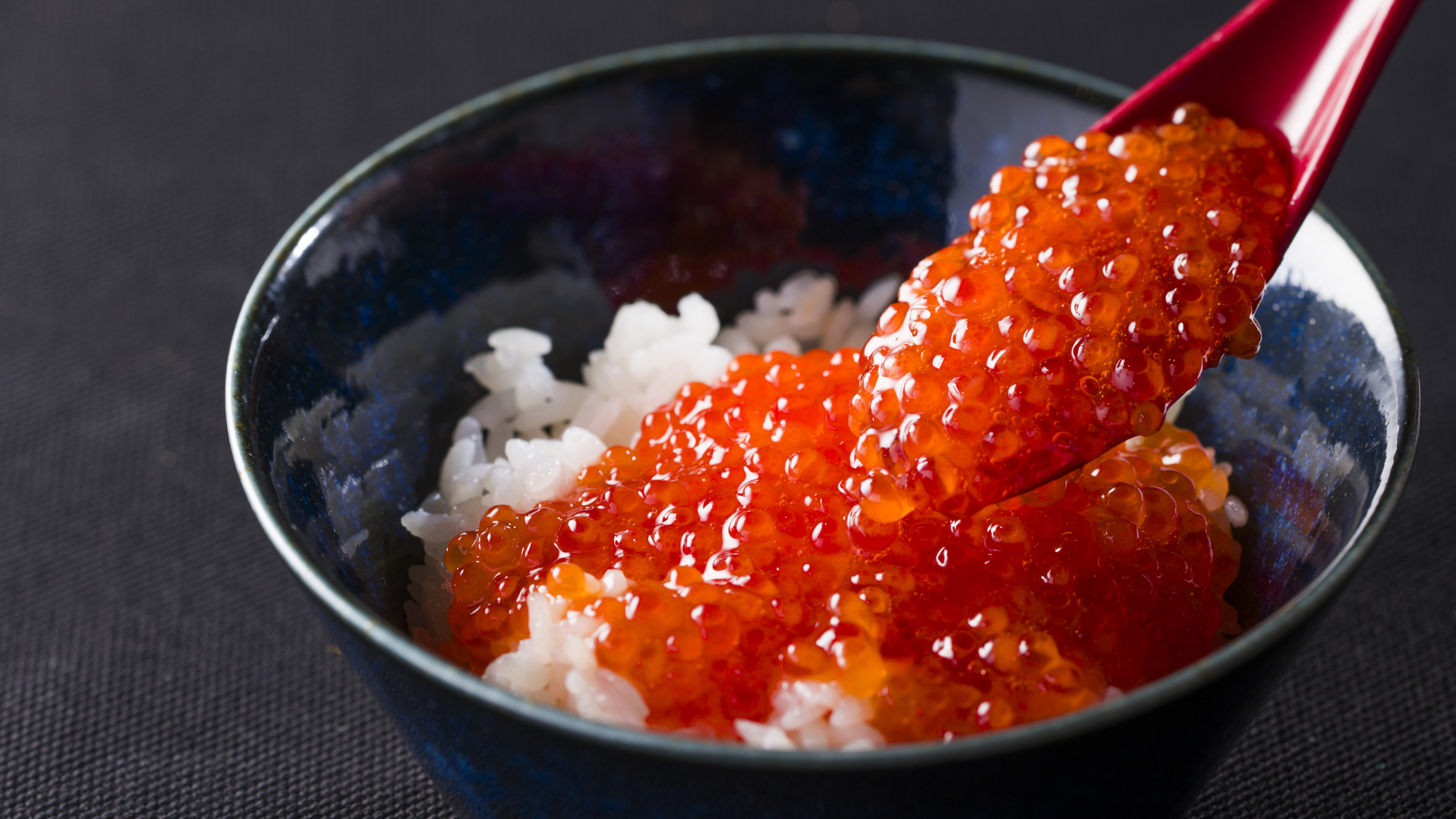 【Northern Kitchen】2025年7月新登場・豪快！いくら丼