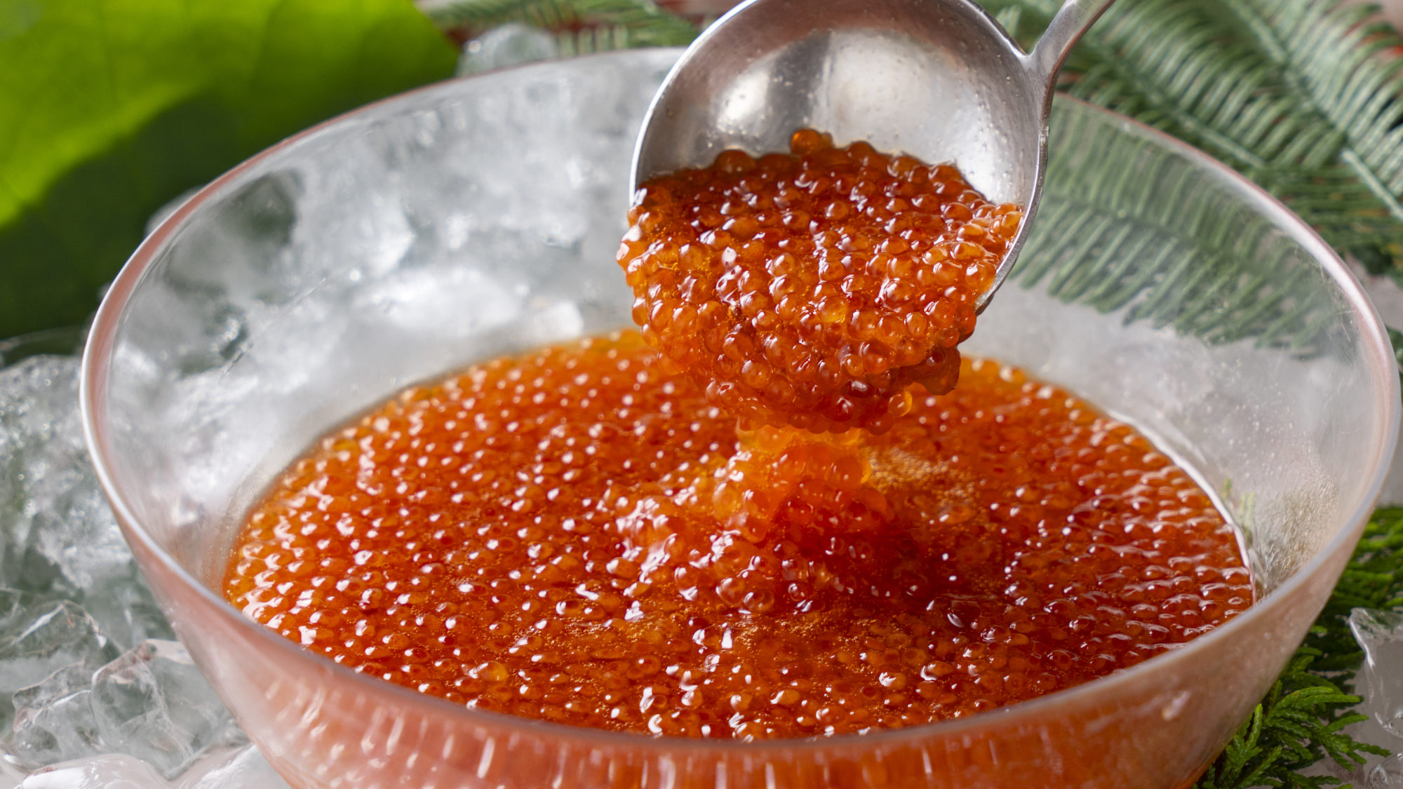 【Northern Kitchen】2025年7月新登場・新鮮ないくら