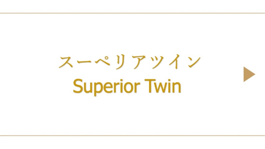 スーペリアツイン(約23平米/ベッド幅110㎝)