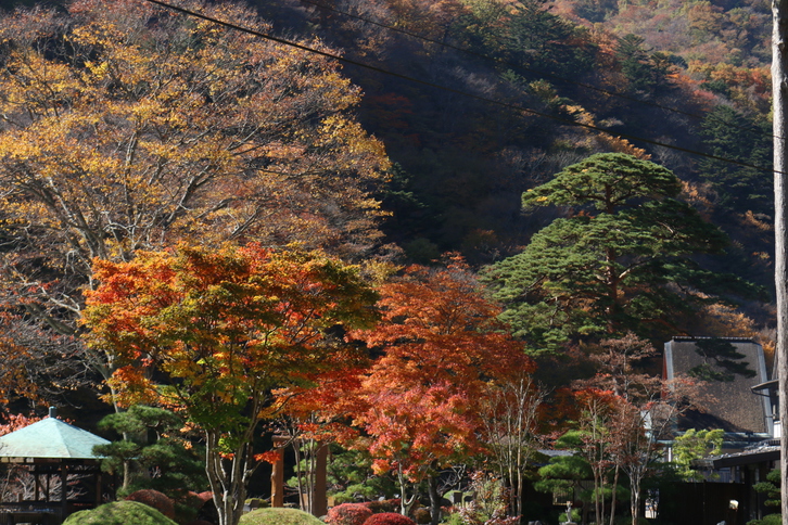 写真1