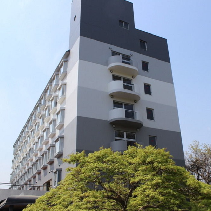 写真6