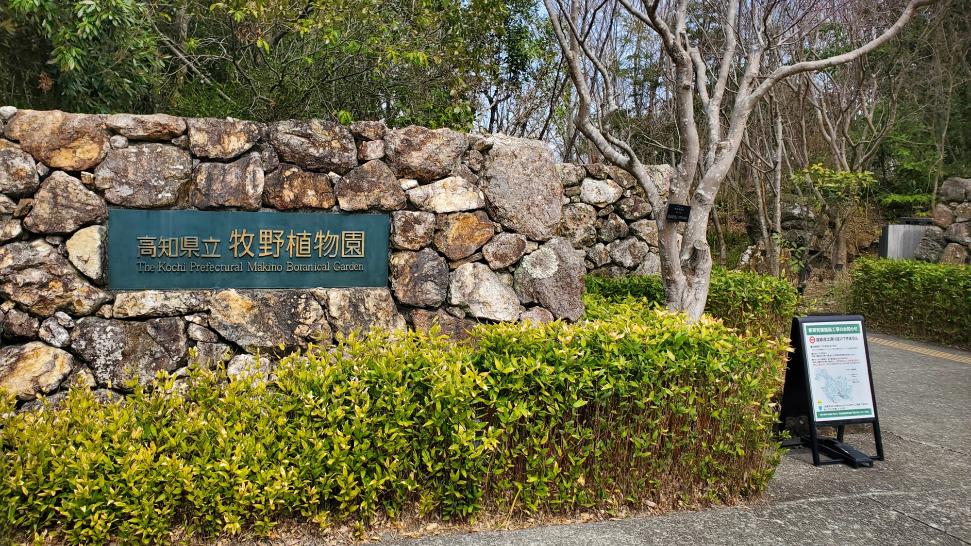 当ホテルからお車で約20分〈高知県立牧野植物園〉