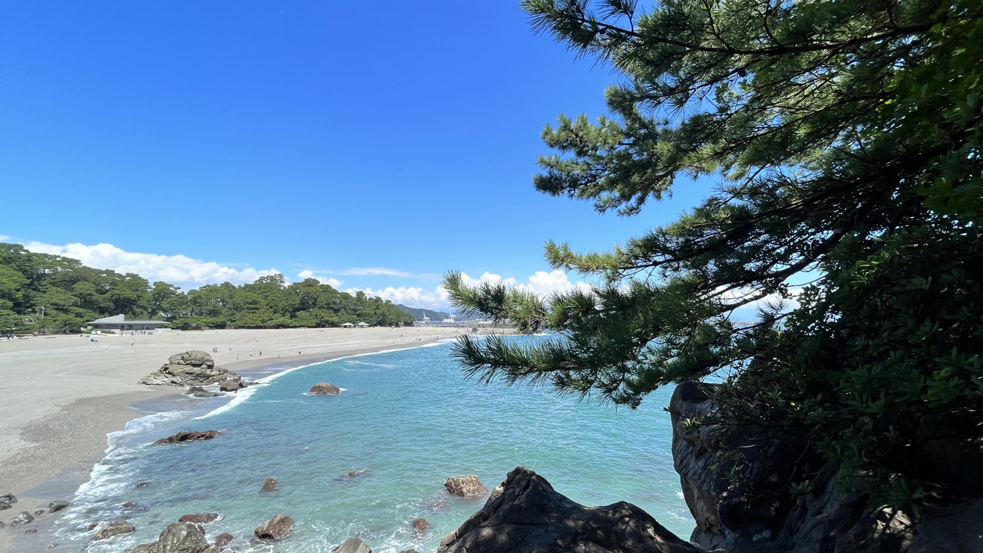 当ホテルからお車で約30分〈桂浜〉