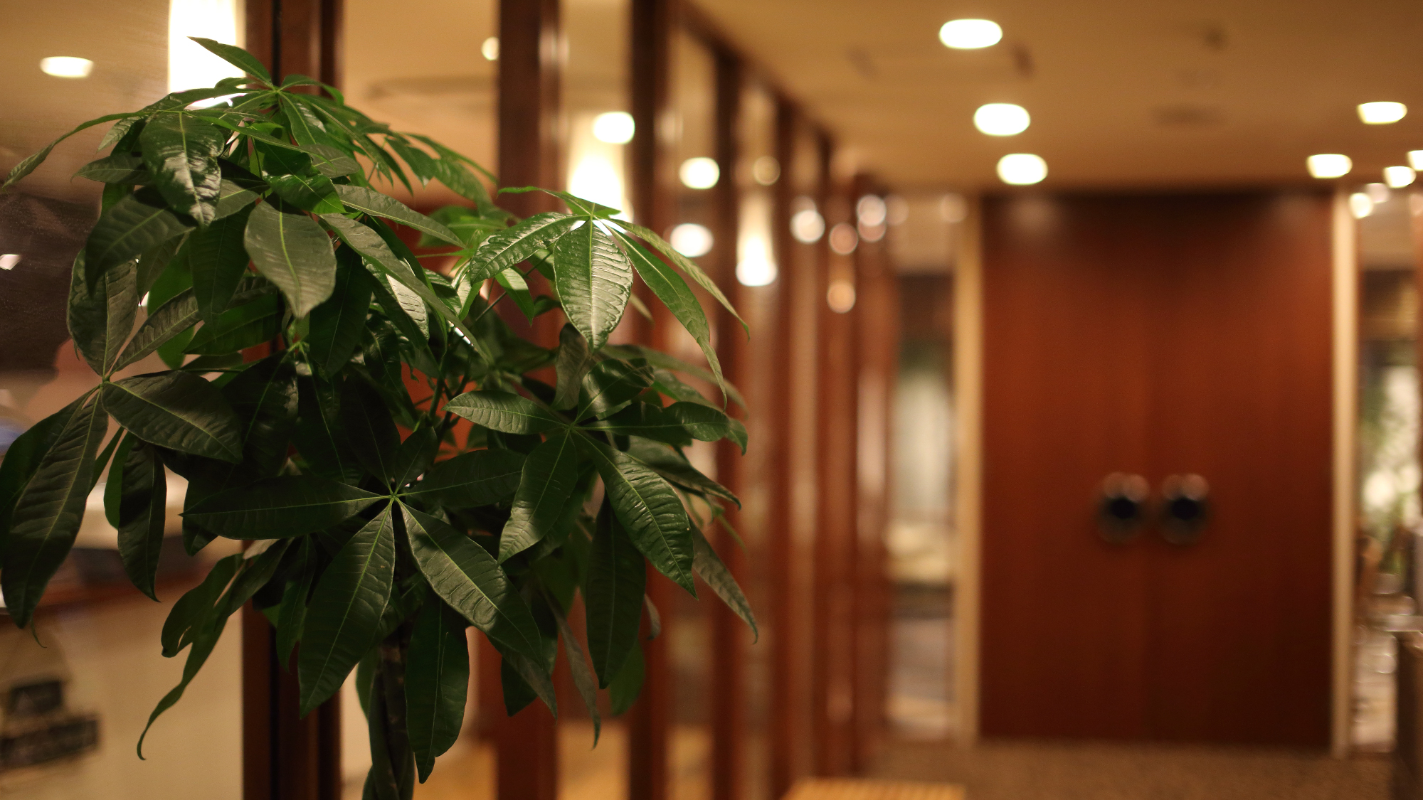 ホテルイメージ