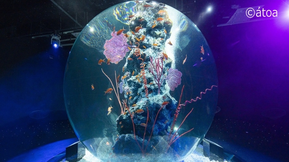 【AQUARIUM × ART】劇場型アクアリウム「atoa」入場券付きプラン＜朝食付＞