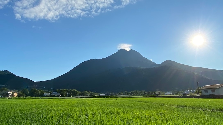 【周辺観光】由布岳