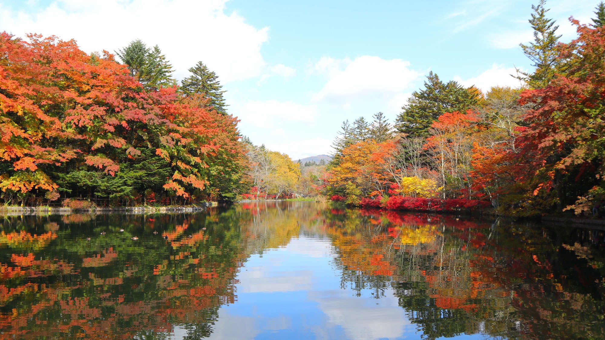 雲場池／湖面に映る四季折々の自然が美しい軽井沢の必見の名所。秋の紅葉は特におすすめ。