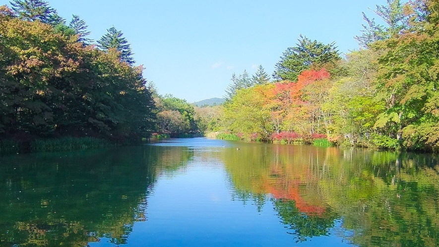 雲場池／軽井沢町