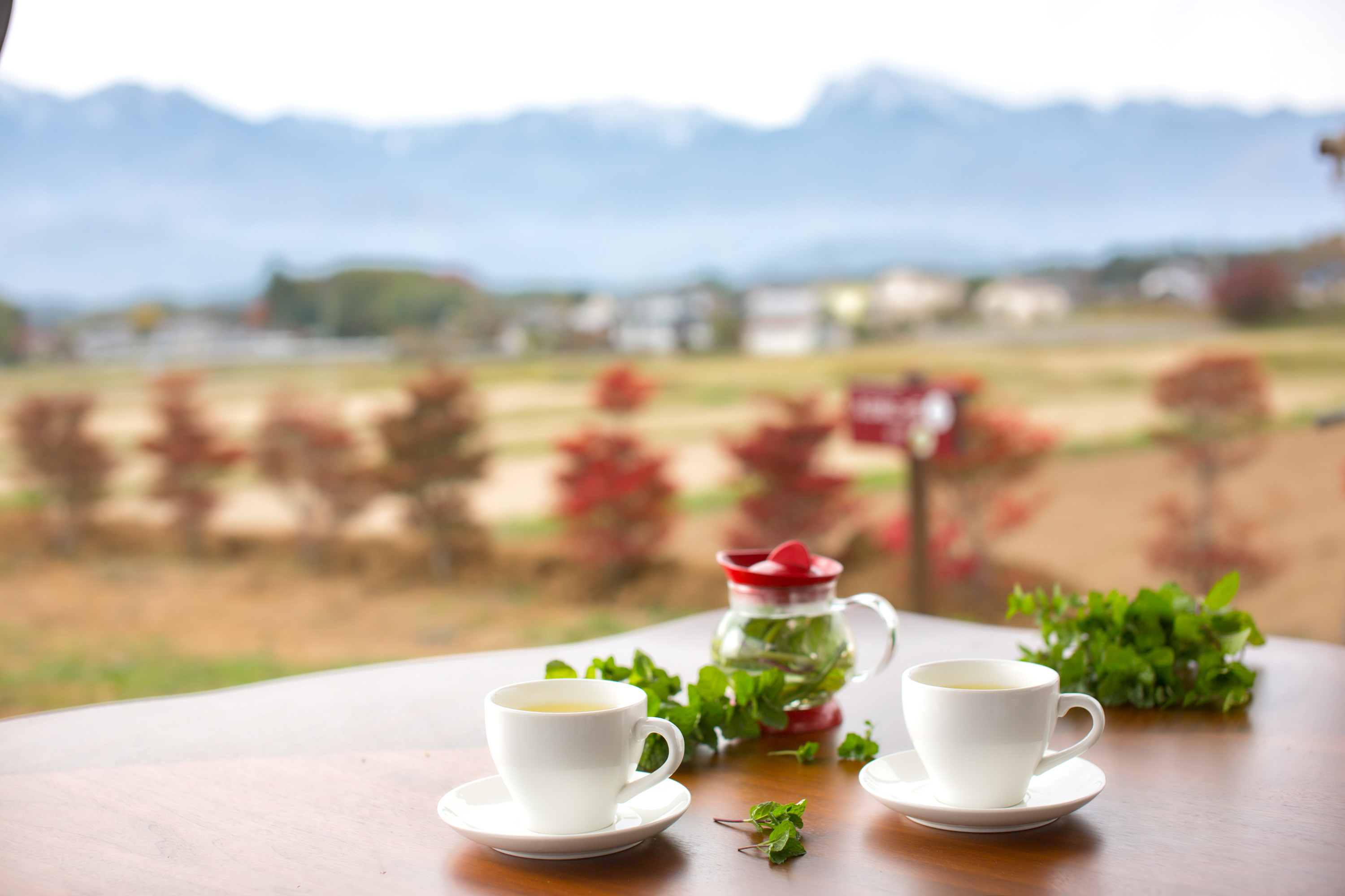 月見台で飲む生茶ハーブティー