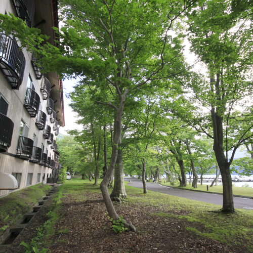 ホテル裏手には、遊歩道を挟んですぐ十和田湖が。