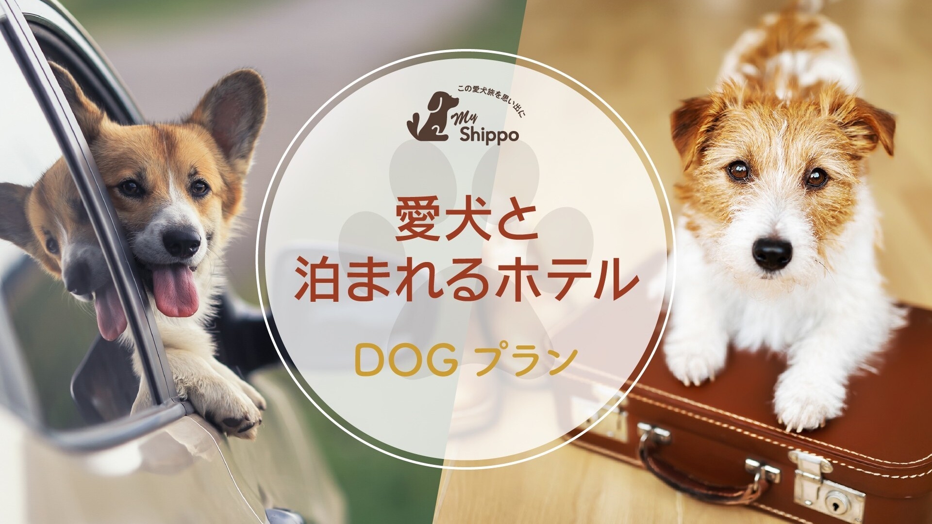 愛犬と過ごすお部屋食付きプラン(2食付き）2024.4〜