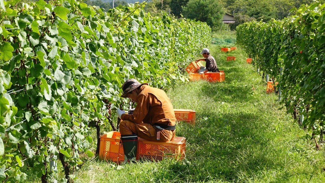 発酵リトリート“Fermentation Journey”