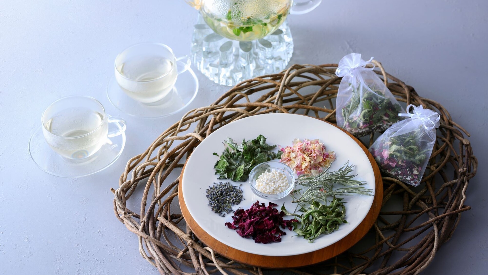 温泉アドバイザー2026春