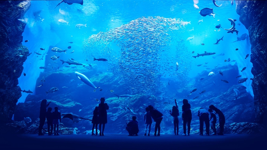 仙台うみの杜水族館