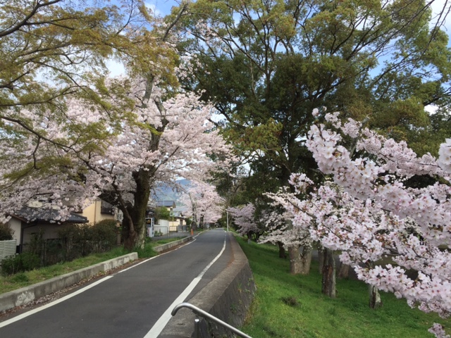 サイクリングロード３