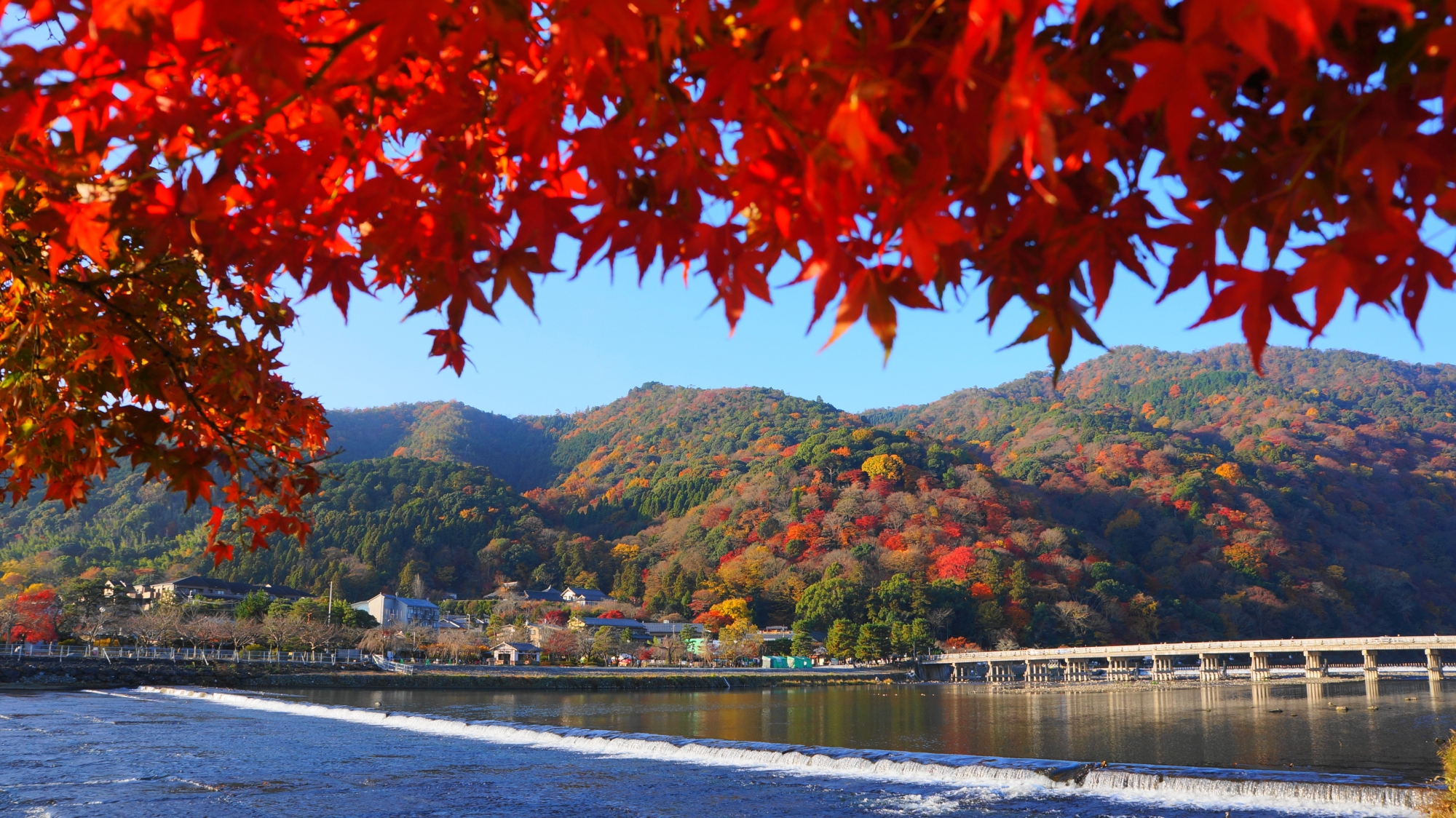 渡月橋紅葉