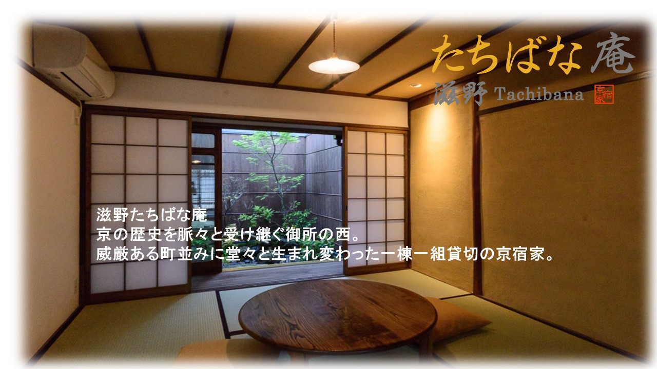 写真1