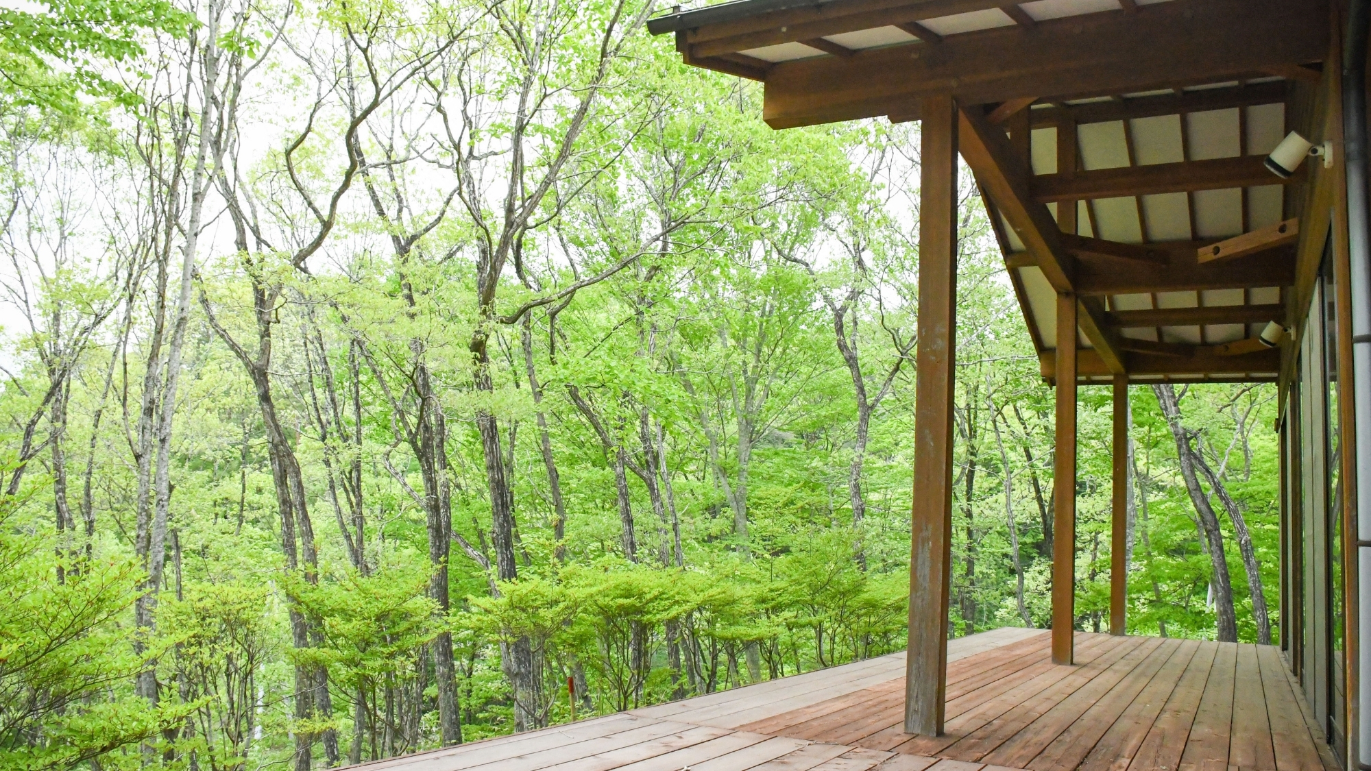 【離れ別館・和室(テラス)】森の中にいるような寛ぎのテラス