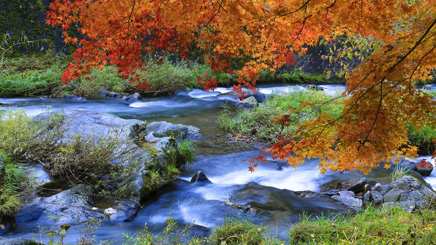 【強滝（鮫川村）】美しい渓流にモミジやカエデのコントラストが絶景