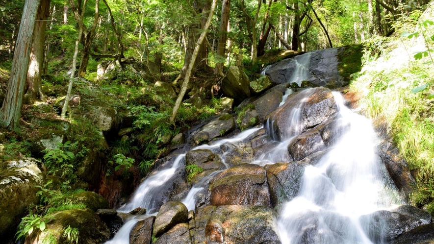 【不動滝（塙町）】湯岐渓谷、雷滝よりも下流にある滝。木々や岩肌が作り出す自然美を見ながら散策できる。