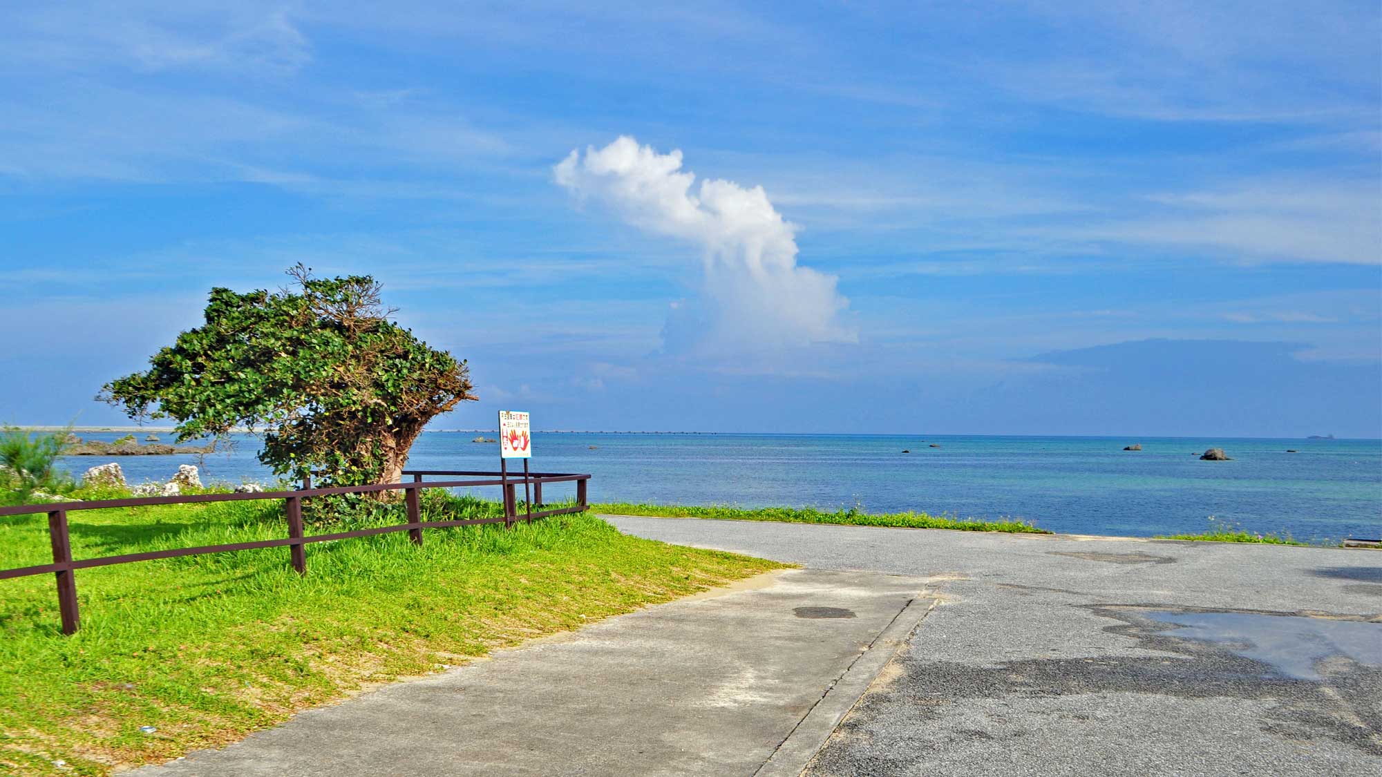 【佐和田の浜】