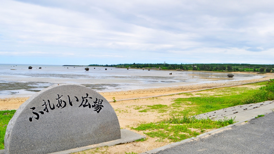 【佐和田の浜・干潮時】夜間は小エビがとれます