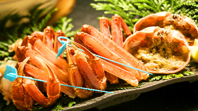 ■かに三昧（極）■蟹通限定「皇室献上級サイズ！特大加能蟹1.2kg以上！＆たっぷり蟹刺し！＆香箱蟹」