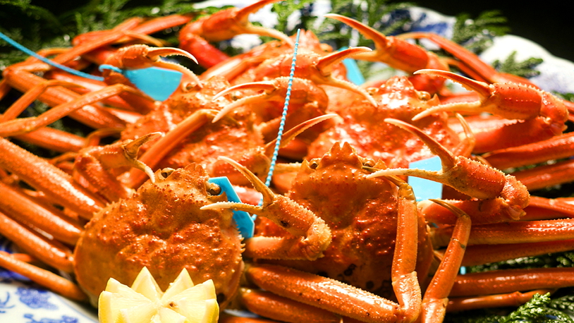 ■かに三昧（松）■『重さ1kg超えの王者！！蟹で後悔したくない人必見』★“極上”タグ付加能蟹＆香箱蟹