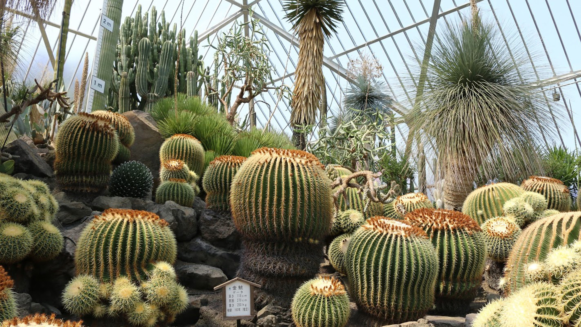 周辺観光_シャボテン公園