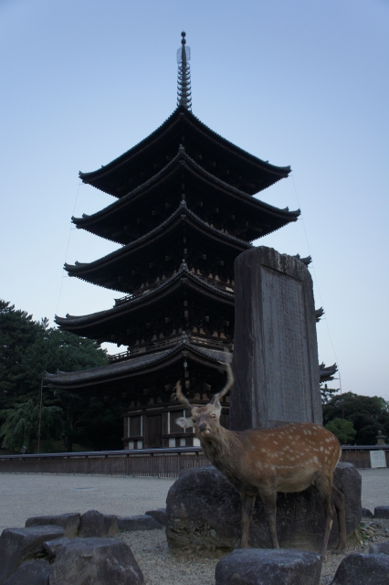 興福寺五重塔