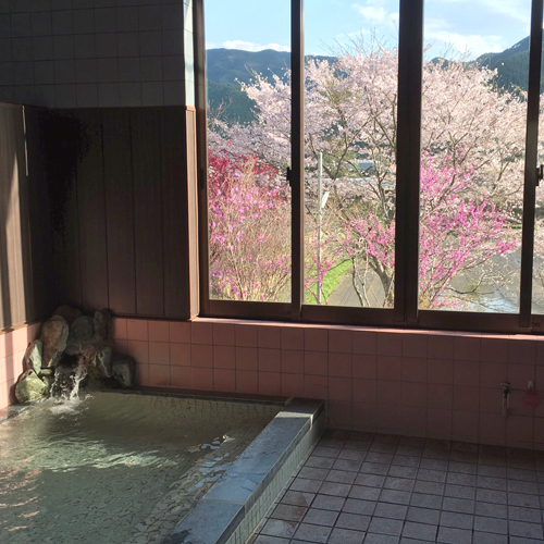 【素泊まり】球磨川と市房山の豊かな自然＆天然温泉を気軽に楽しむ