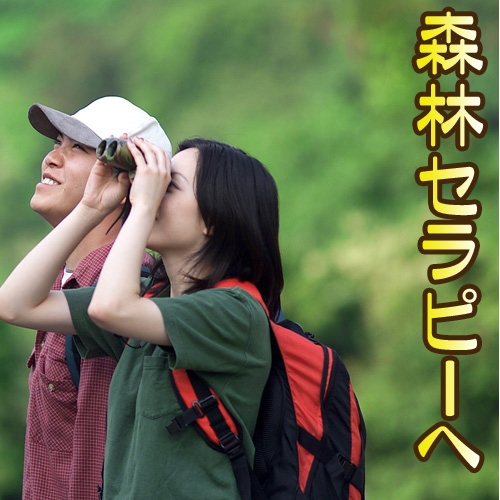 【森林セラピートレッキング＆2食付】樹齢800年以上の杉など原生林が残る水上村の大自然を満喫！